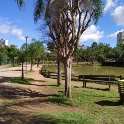 Bosque Maia - Guarulhos