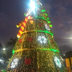 Bosque Maia - Guarulhos