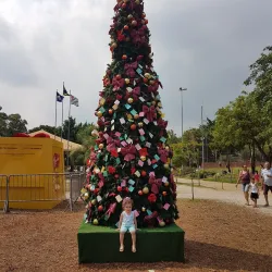 Bosque Maia - Guarulhos