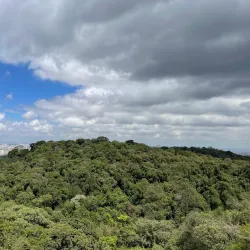 Parque Estadual da Cantareira - Guarulhos