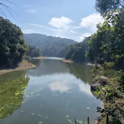 Parque Estadual da Cantareira - Guarulhos