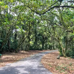 Parque Estadual da Cantareira - Guarulhos