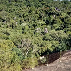 Parque Estadual da Cantareira - Guarulhos