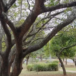 Parque Linear do Taboão - Guarulhos