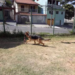 Parque Linear do Taboão - Guarulhos