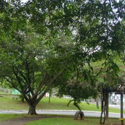 Parque Linear do Taboão - Guarulhos