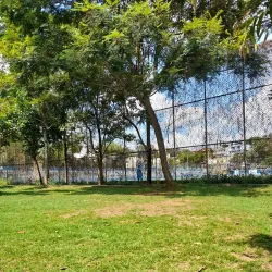Parque Municipal Cícero Miranda - Guarulhos