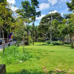Parque Municipal Cícero Miranda - Guarulhos