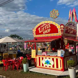 Festival do Bordado e do Artesanato - Ibitinga
