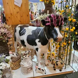 Ibitinga Embroidery Fair - Ibitinga