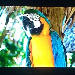 Centro Cultural 25 de Julho - Ijui