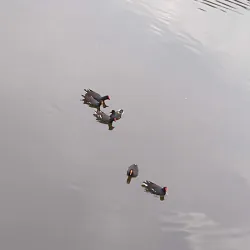 Parque da Pedreira Municipal - Ijui