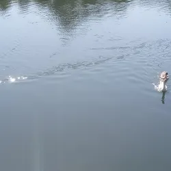 Parque da Pedreira - Ijui