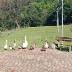 Parque da Pedreira - Ijui