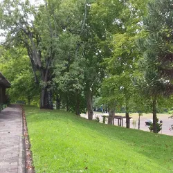 Universidade Regional do Noroeste do Estado do Rio Grande do Sul (UNIJUÍ) - Ijui