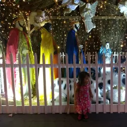 Centro Cultural de Ilha Solteira - Ilha Solteira