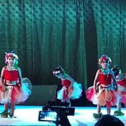 Centro Cultural de Ilha Solteira - Ilha Solteira