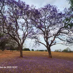 Parque Ecológico de Ilha Solteira - Ilha Solteira