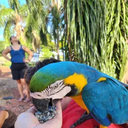 Parque Ecológico de Ilha Solteira - Ilha Solteira