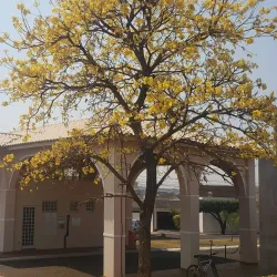 Praça da Juventude - Ilha Solteira