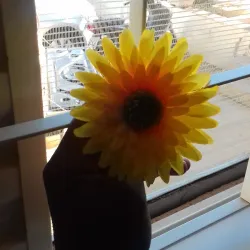 Praça da Juventude - Ilha Solteira