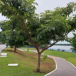 Parque Ambiental da Beira Rio - Imperatriz