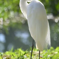 Parque Ecológico de Indaiatuba - Indaiatuba