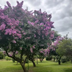 Parque Ecológico de Indaiatuba - Indaiatuba