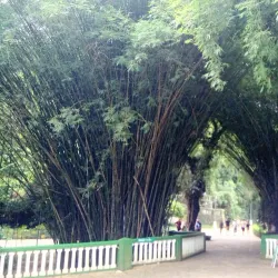 Parque das Águas - Ipatinga