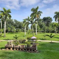 Parque Ipanema - Ipatinga