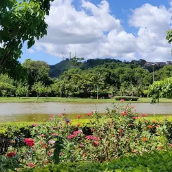 Parque Ipanema - Ipatinga