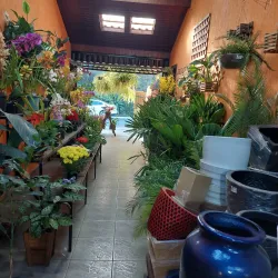 Fazenda do Café - Irati