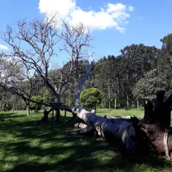 Parque Natural Municipal - Irati