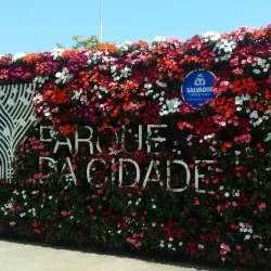 Parque da Cidade - Itabuna