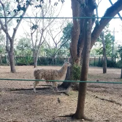 Parque Zoobotânico da Mata Atlântica - Itabuna