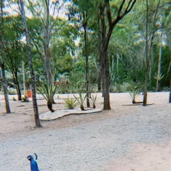 Parque Zoobotânico da Mata Atlântica - Itabuna
