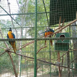 Parque Zoobotânico da Mata Atlântica - Itabuna