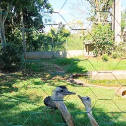 Parque Zoobotânico da Mata Atlântica - Itabuna