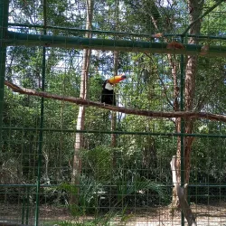 Parque Zoobotânico da Mata Atlântica - Itabuna