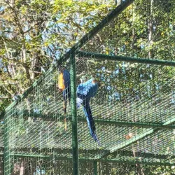 Parque Zoobotânico da Mata Atlântica - Itabuna