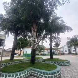 Cultural Festivals - Itagimirim