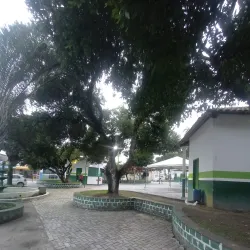 Cultural Festivals - Itagimirim