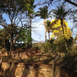 Fazenda São José - Itagimirim