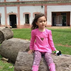 Fazenda São José - Itagimirim