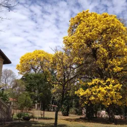 Fazenda São José - Itagimirim