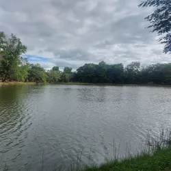 Natural Trails and Hiking - Itagimirim