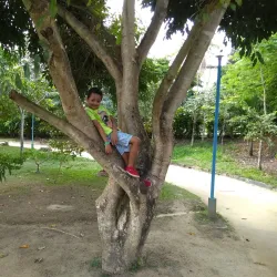 Natural Trails and Hiking - Itagimirim