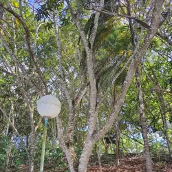 Natural Trails and Hiking - Itagimirim