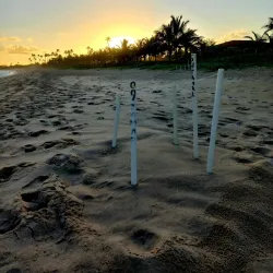 Nearby Beaches (Accessible by Car) - Itagimirim