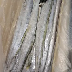 Cais de Itajaí - Itajai